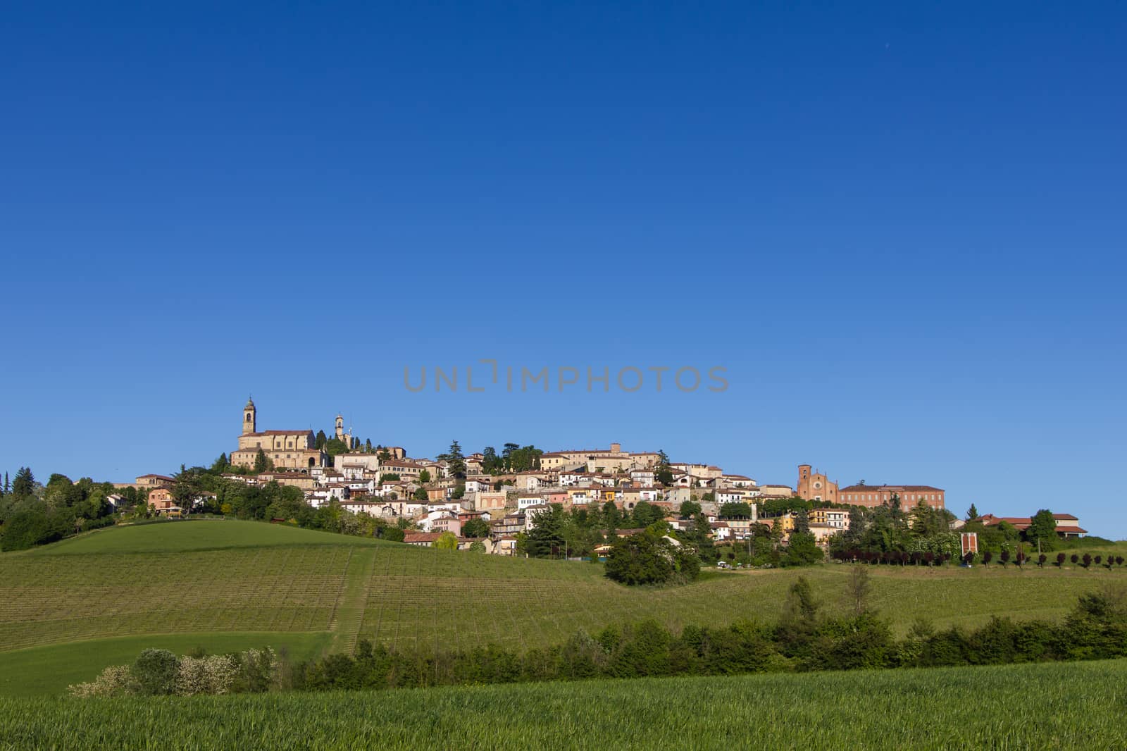 View of the village and countryside of Vignale Monferrato