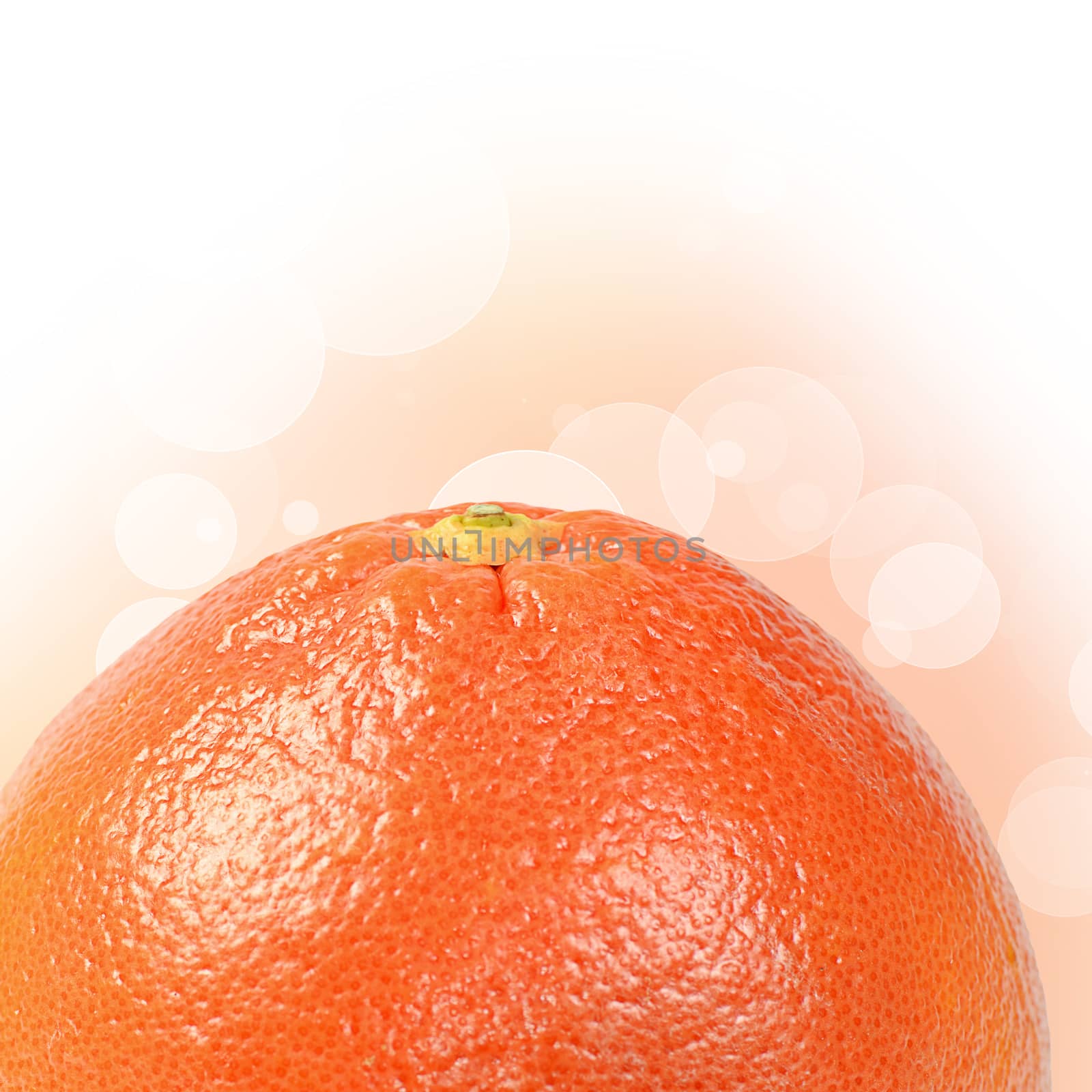 The bright grapefruit isolated on white background