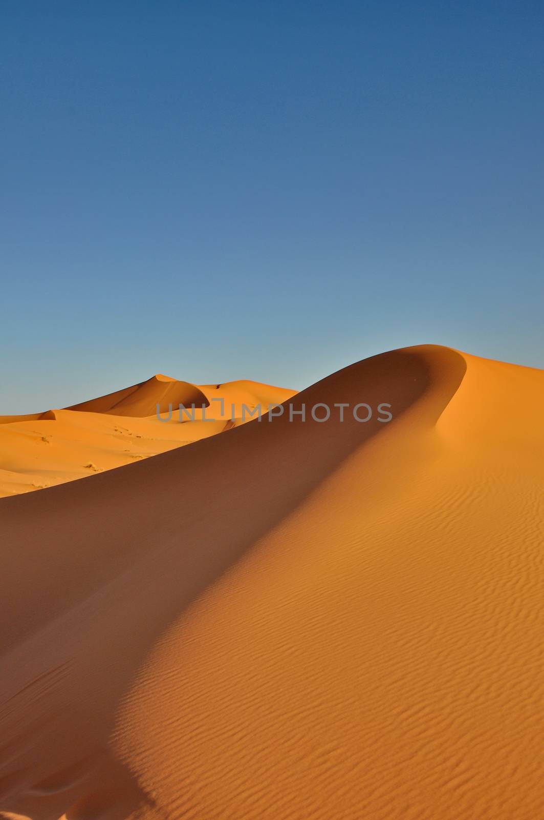 Merzouga desert in Morocco by anderm