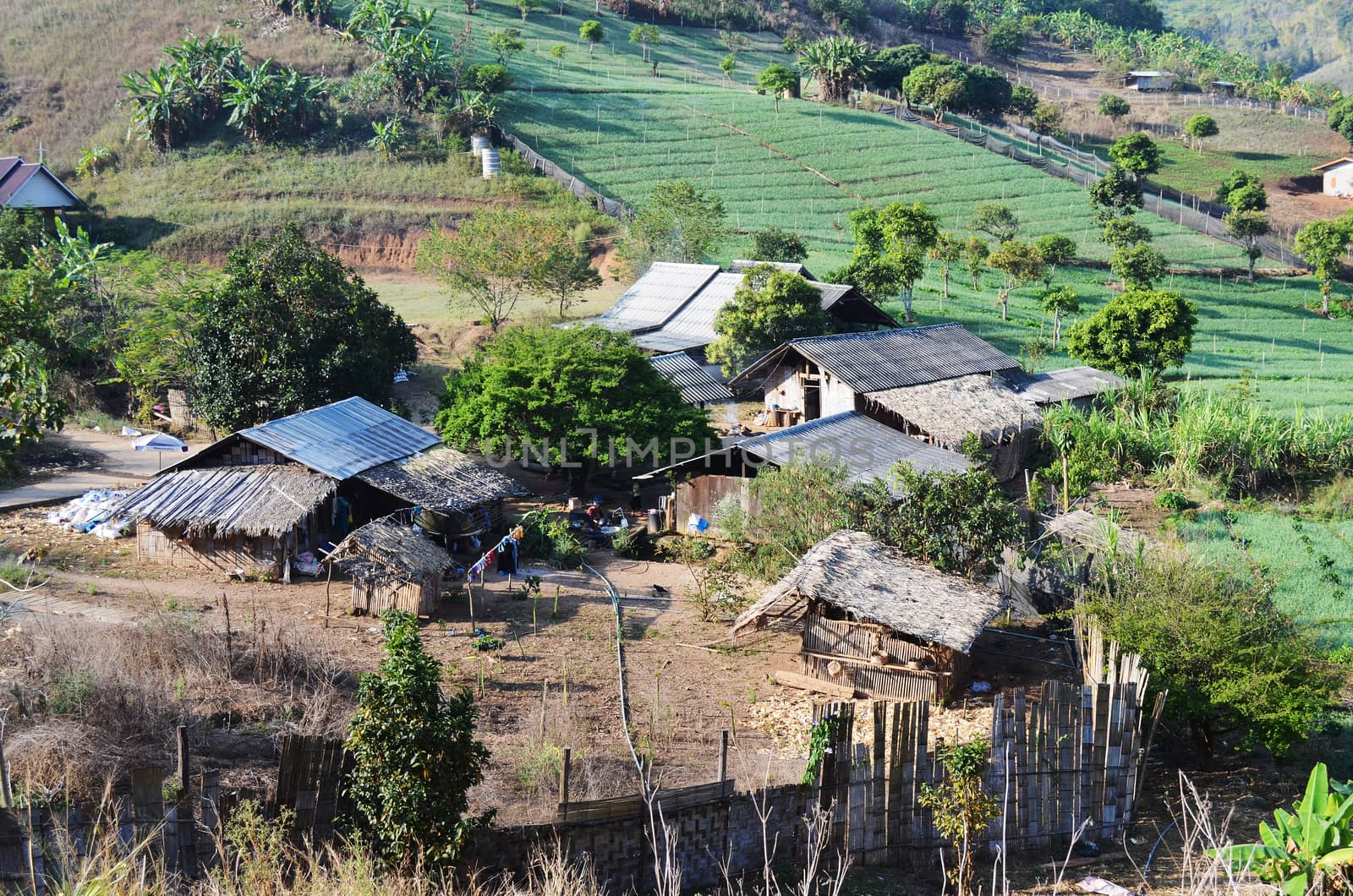 Country Village and Farm on Hillside, Maehongson province, Thailand.