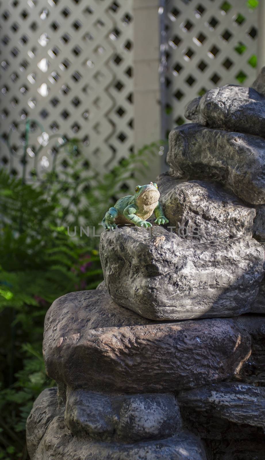 decorative ceramic frog with one broken toe in a garden