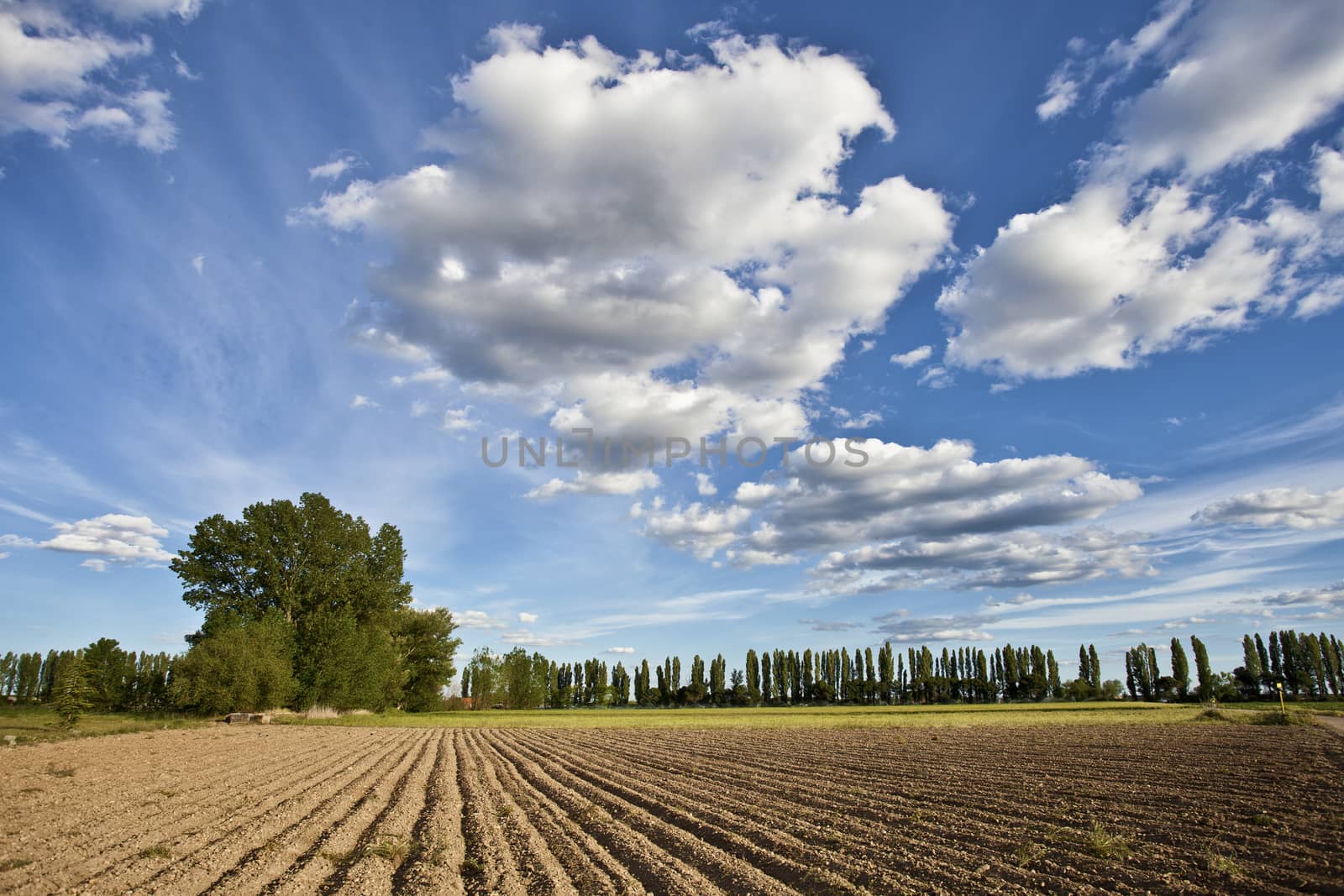 Plowed field and cloudscape on the plains of Castilla y Leon. Valladolid, Spain.