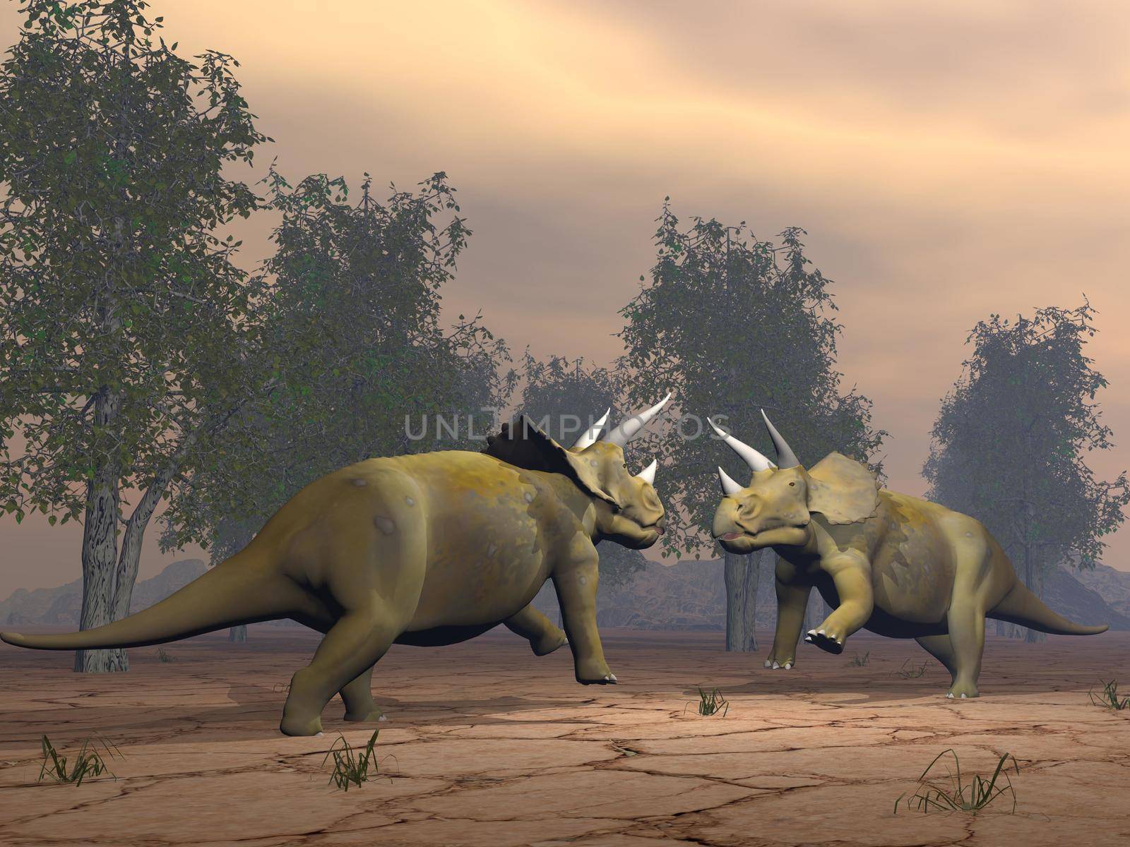 Triceratops dinosaurs fighting - 3D render by Elenaphotos21