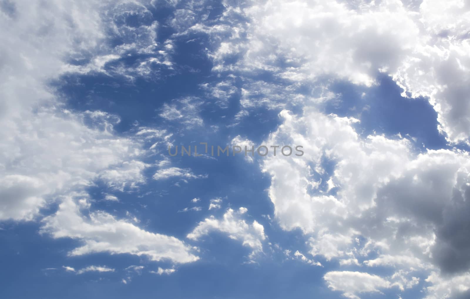 The Fluffy Cloudy Blue Sky Scape 031