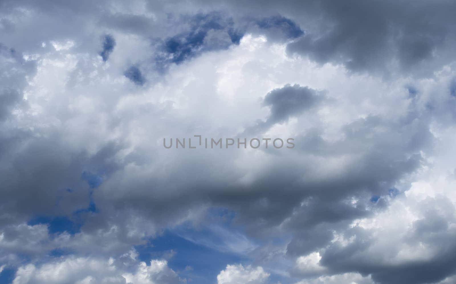 The Fluffy Cloudy Blue Sky Scape 041