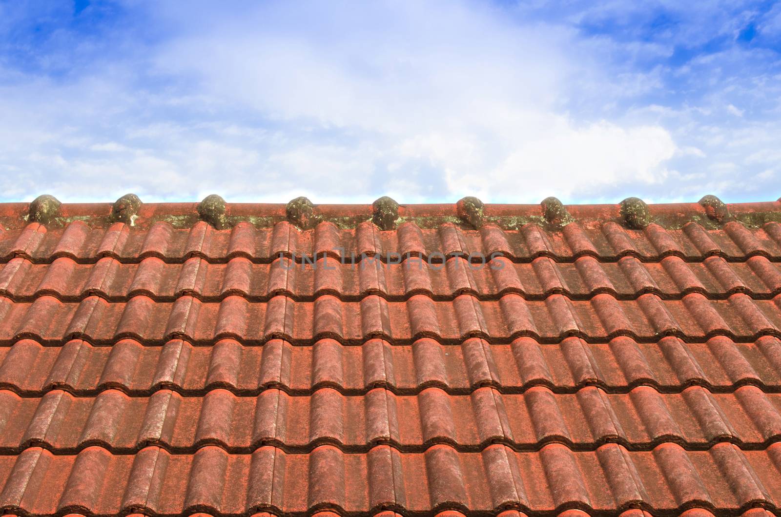 The Tiled Roof with Fluffy Cloud Blue Sky