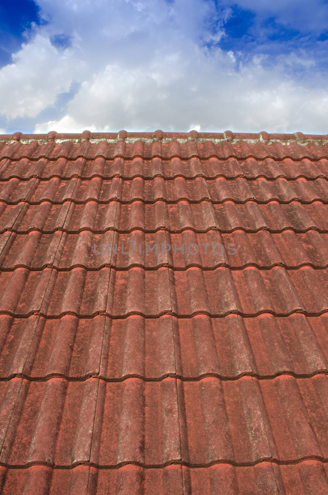 The Tiled Roof with Fluffy Cloud Blue Sky