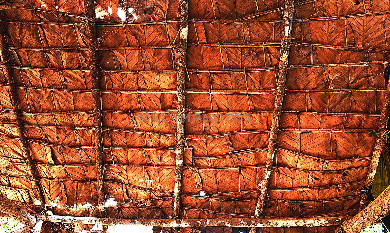 The Tile Roof made from Teak Leaf