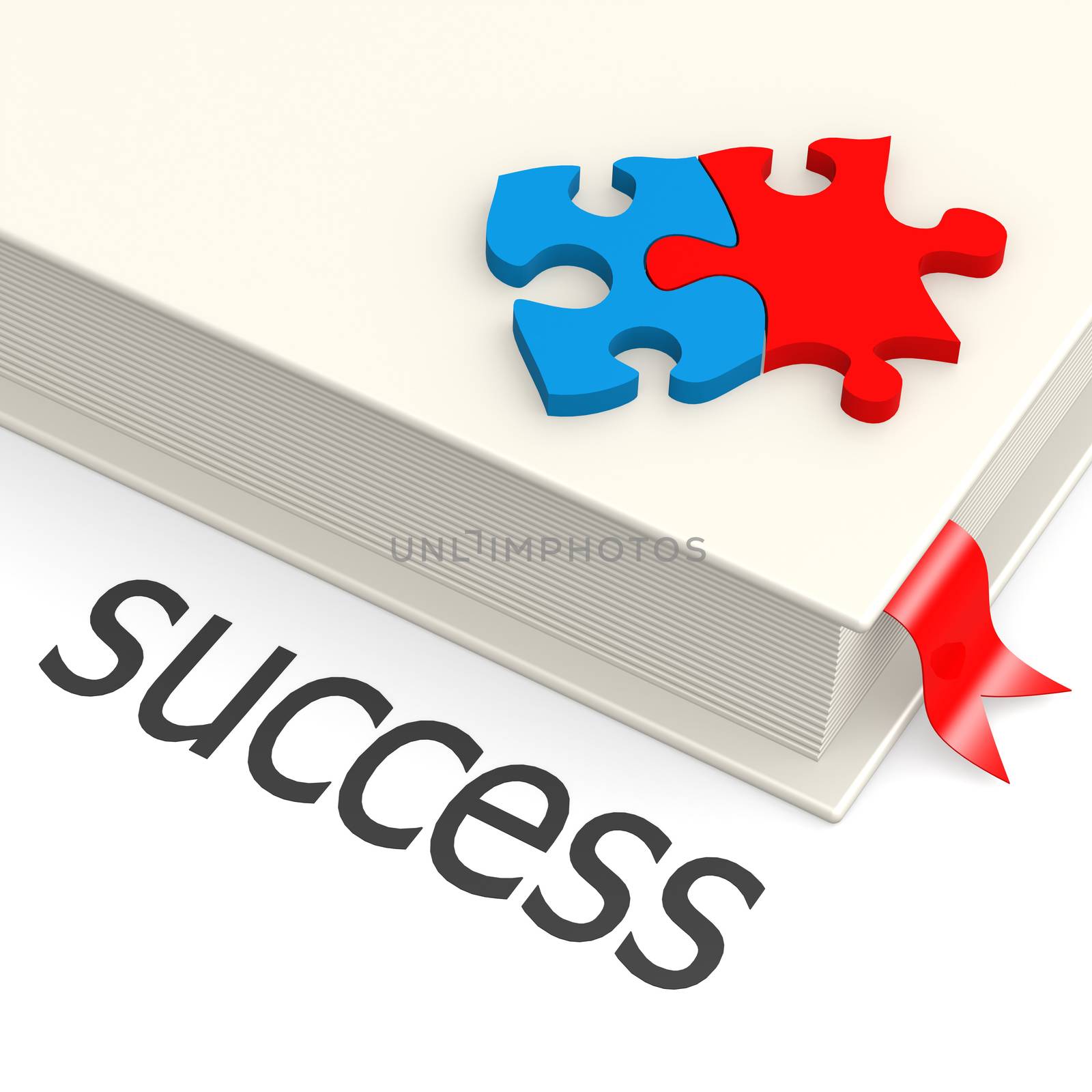 Success book by tang90246
