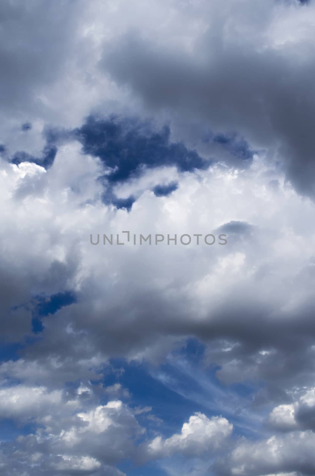The Fluffy Cloudy Blue Sky Scape 061