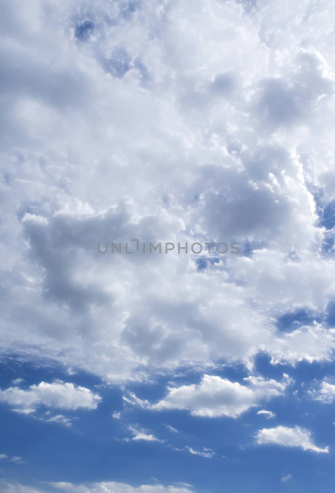 The Fluffy Cloudy Blue Sky Scape 101
