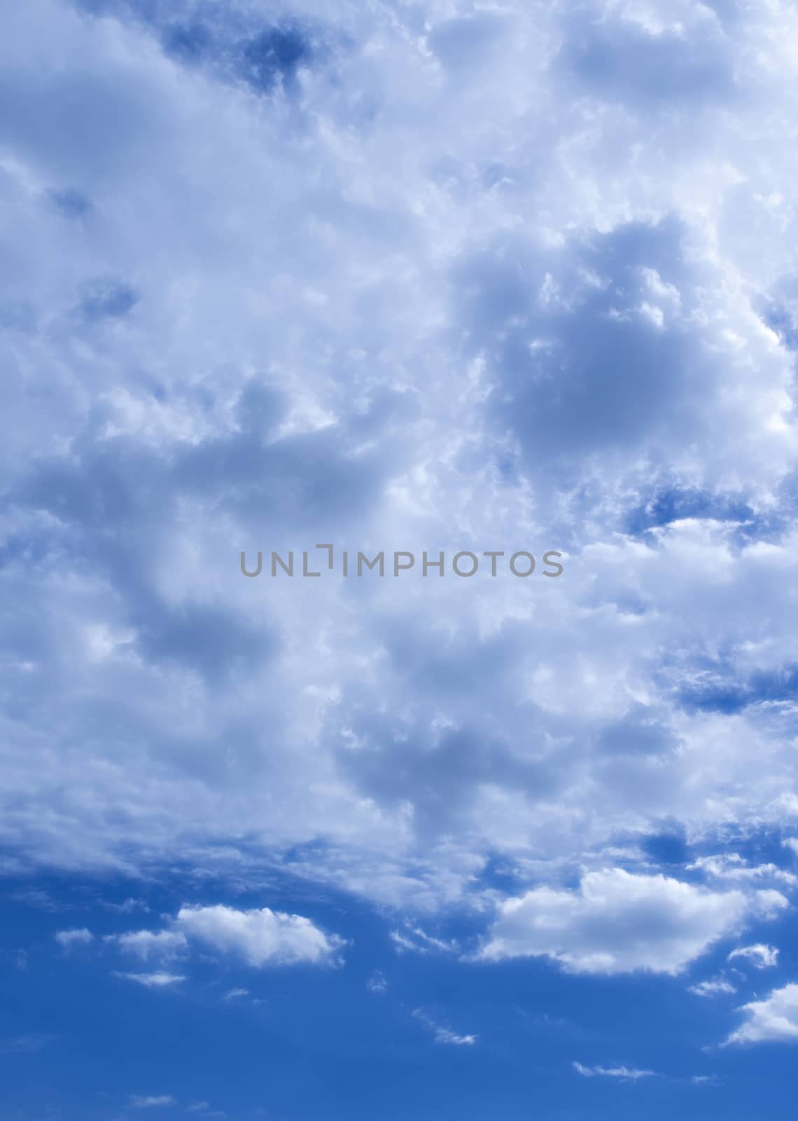 The Fluffy Cloudy Blue Sky Scape 081