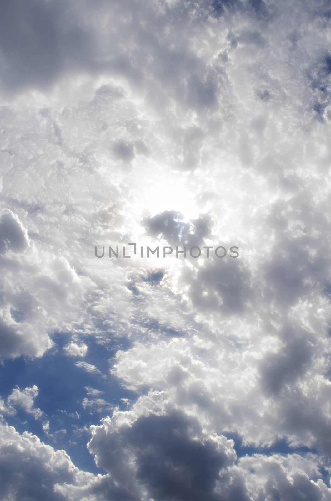 The Fluffy Cloudy Blue Sky Scape 121