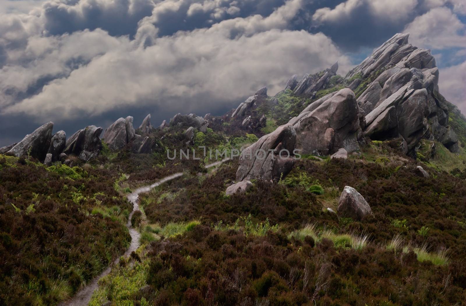 The rocky outcrop at the southern end of the Pennines is in Staffordshire England and this area is named Ramshaw Rocks.