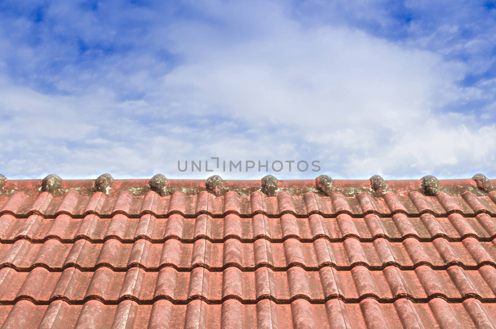 The Tiled Roof with Fluffy Cloud Blue Sky 106