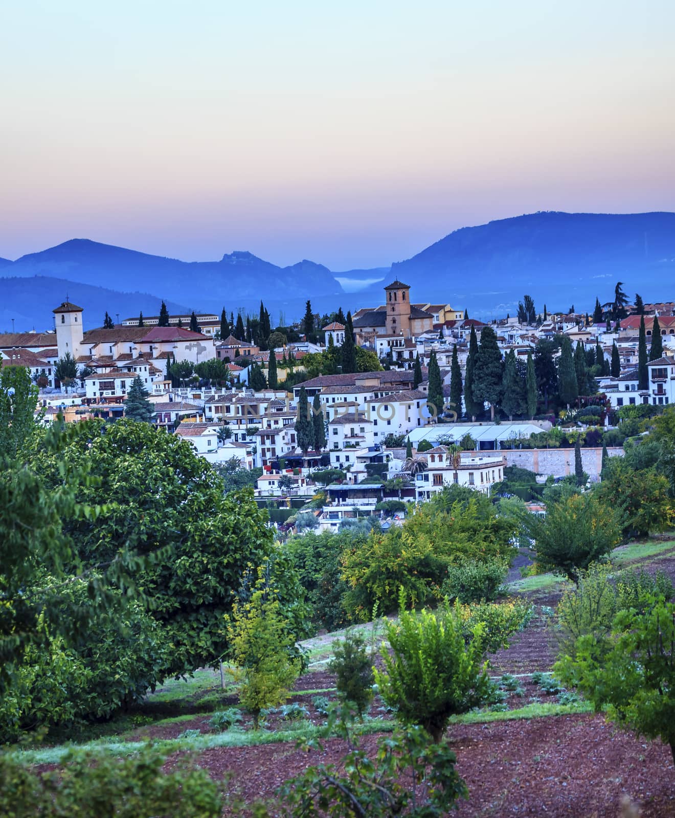 Granada Cityscape Churches Andalusia Spain  from Olive Gardens on Hillside