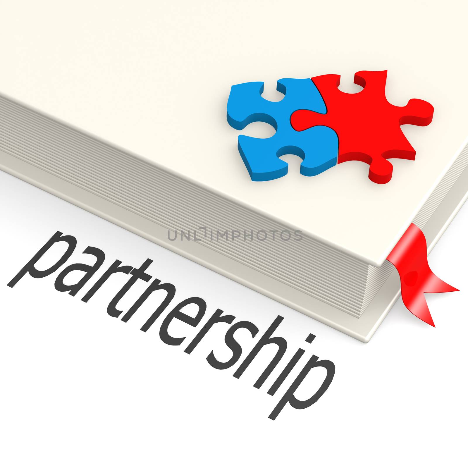 Partnership book