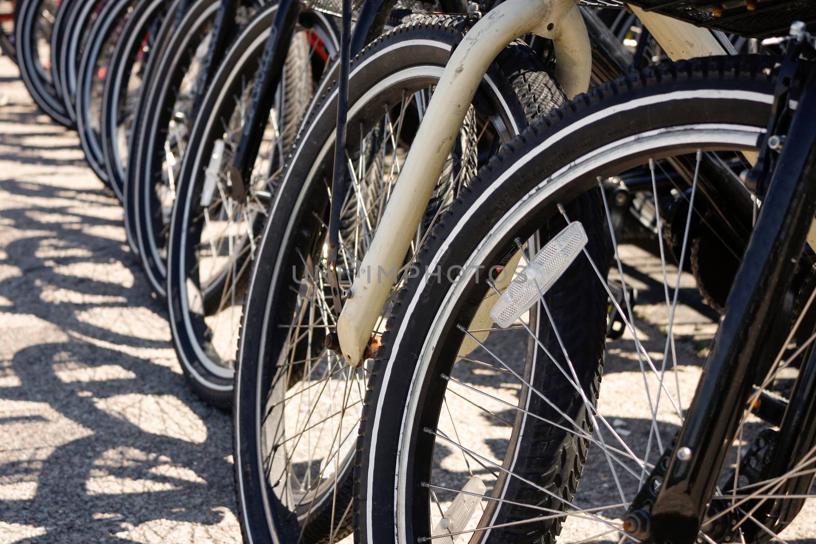Row of bicycle tires and wheels in a line parked evenly.