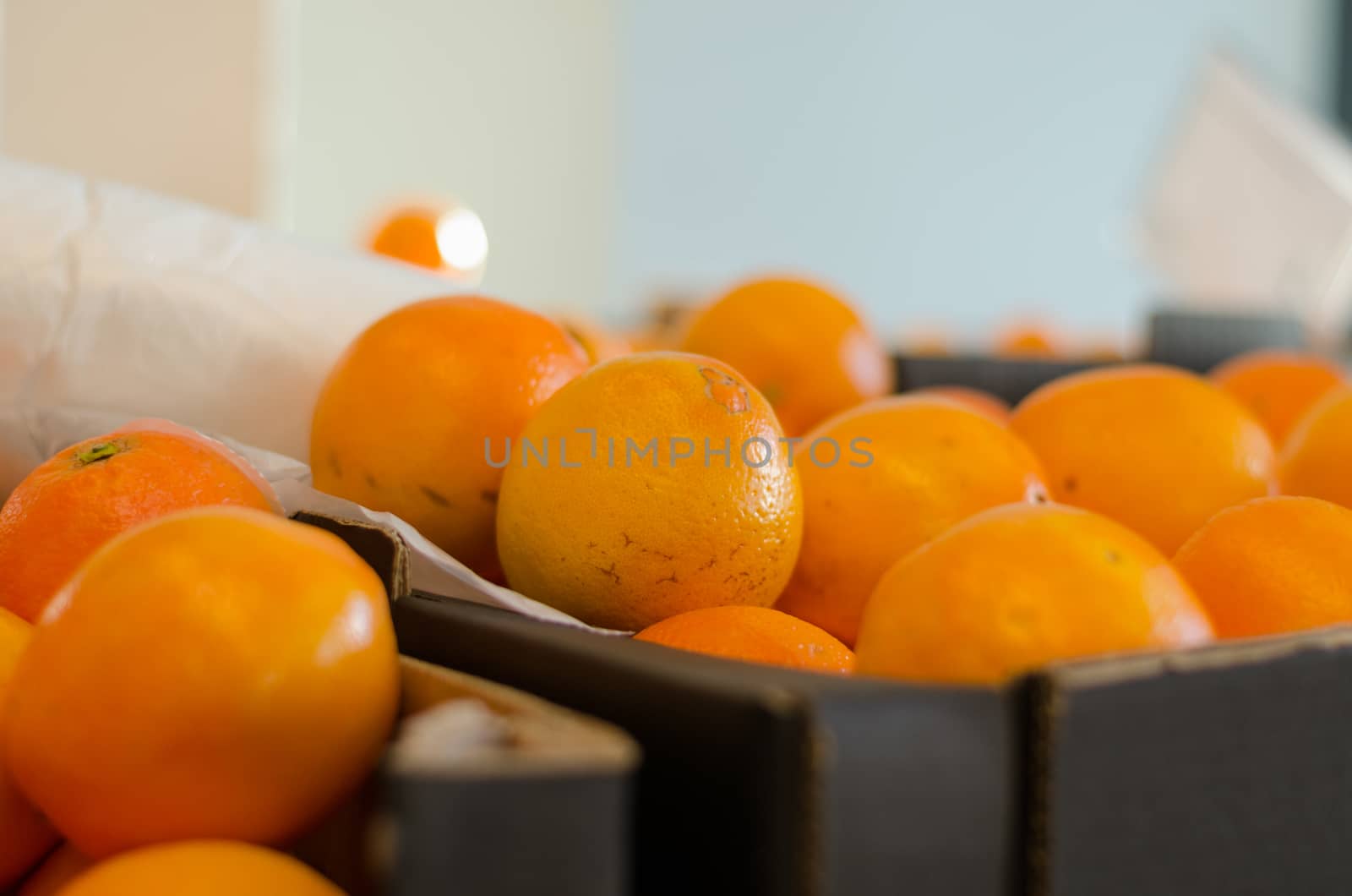 close up of orange orange in box by sauletas