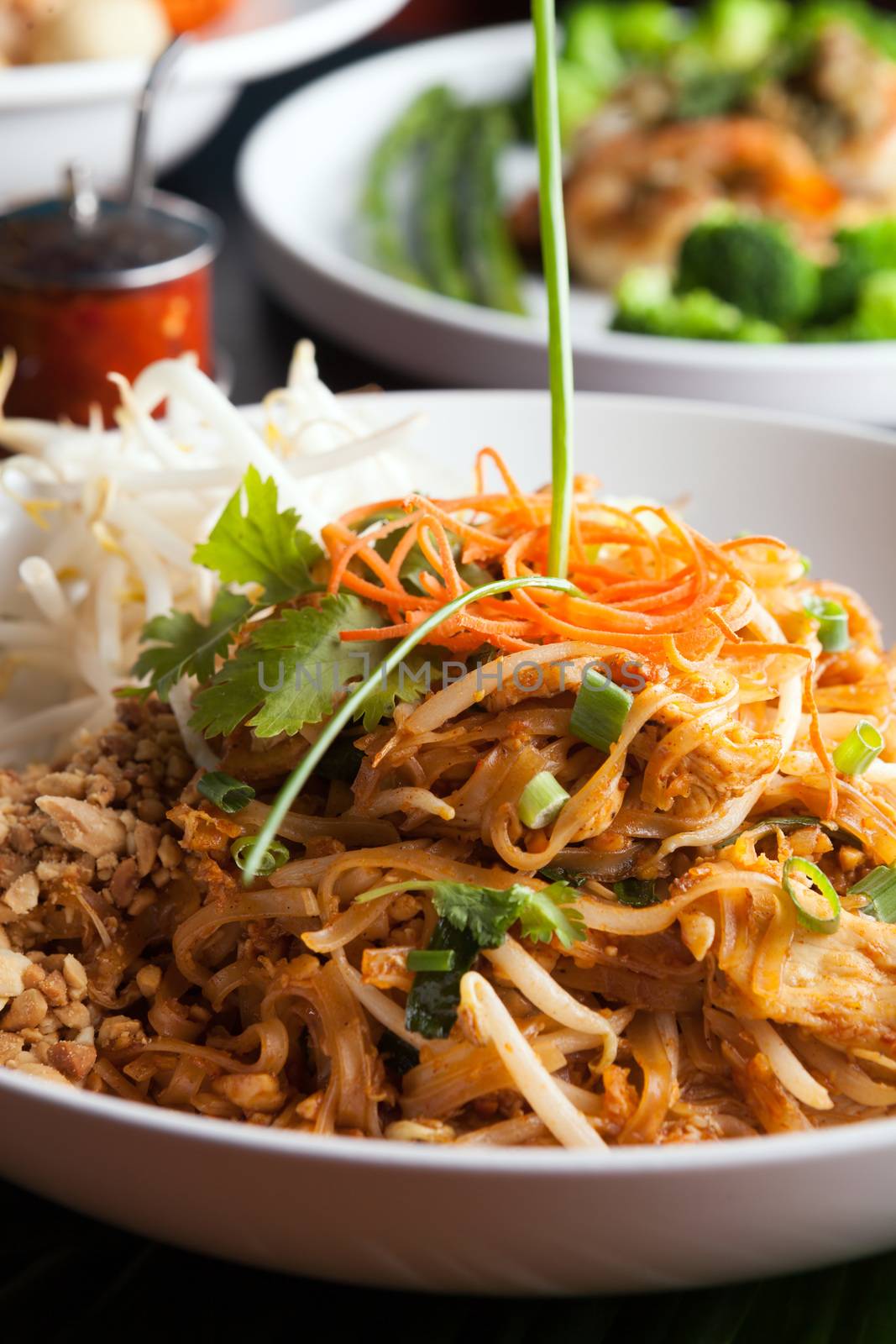 Chicken Pad Thai Closeup by graficallyminded