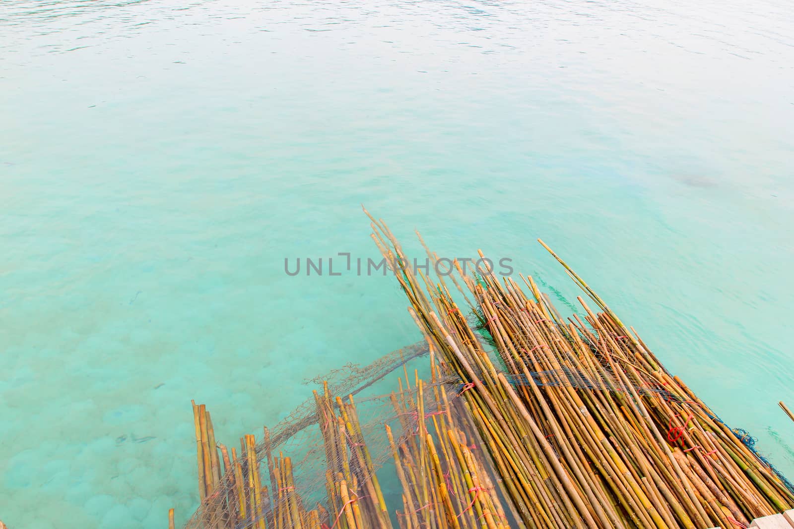 The bamboo floating in the blue sea.