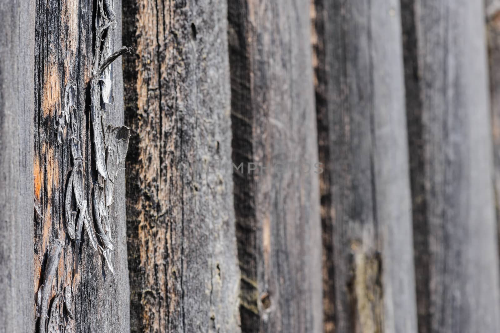 cracked aged weathered wooden boards, selective focus