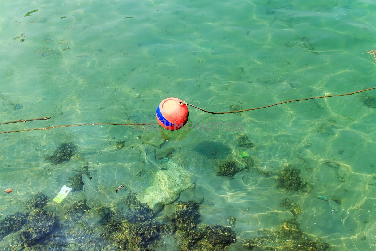 The red buoy on the sea water.