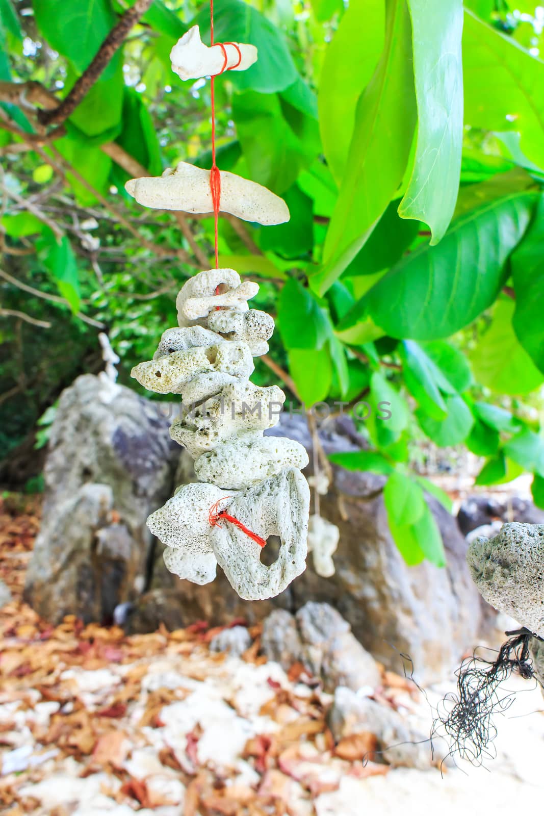 Small pieces of coral were hung on the branches.