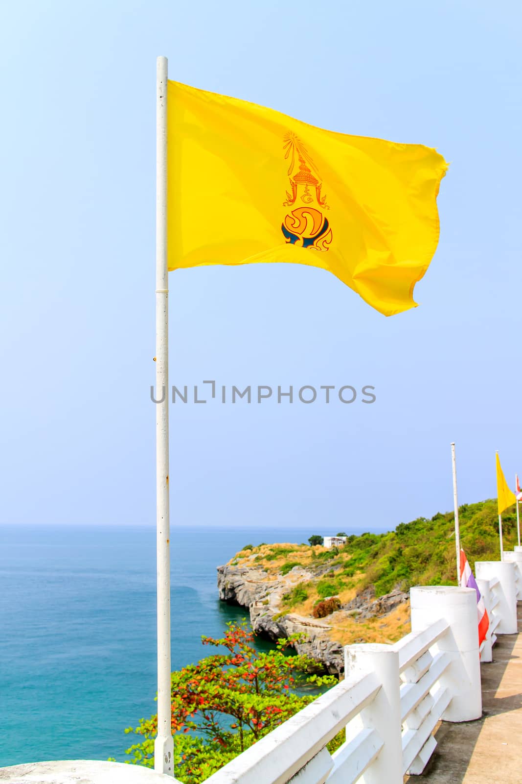 Thailand King Rama IX flag in the wind. 