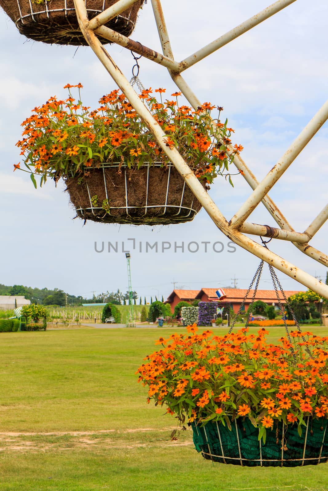 Flower pot is on the ferris wheel.