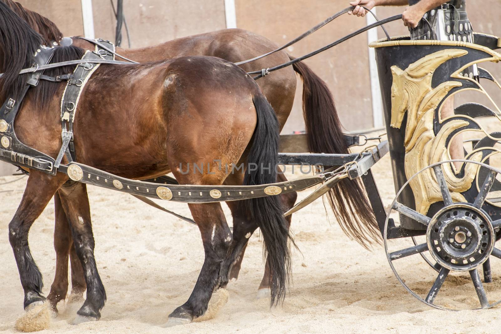 Competitors, Roman chariots in the circus arena, fighting warriors and horses