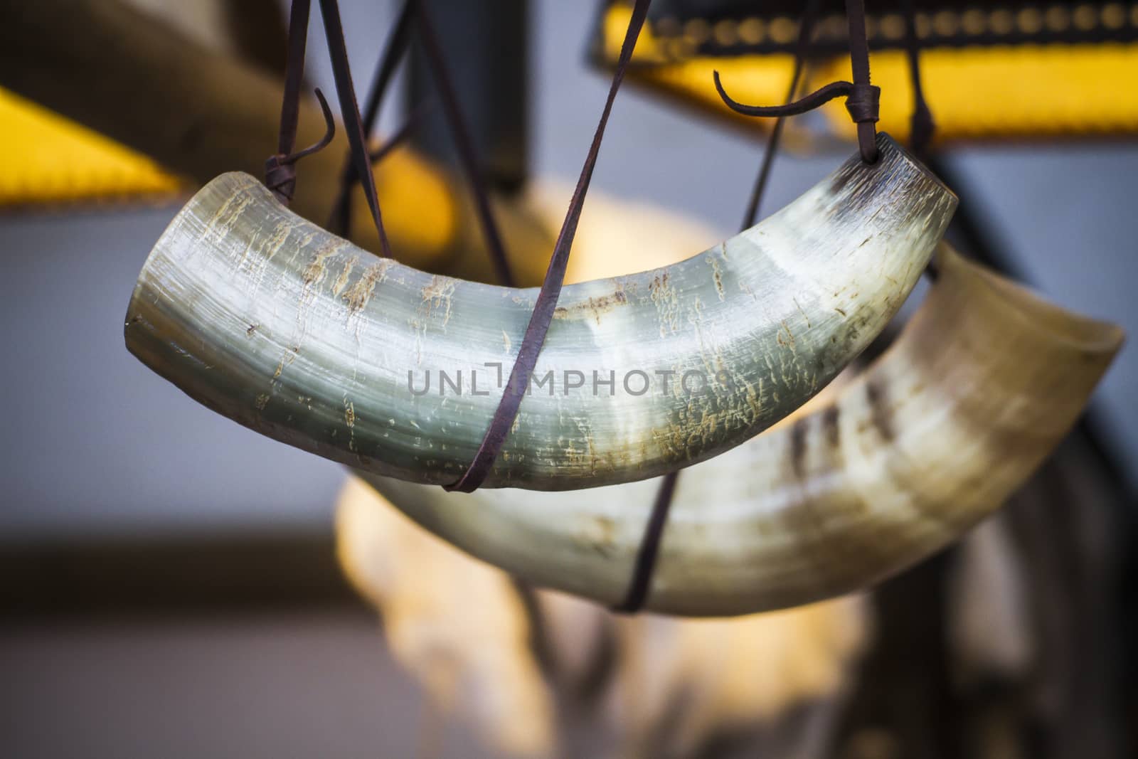 old hunting horns, used to call by FernandoCortes