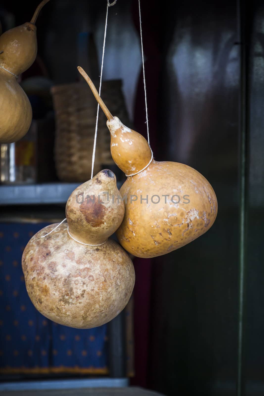 Ancient water canteens made ������with pumpkins by FernandoCortes