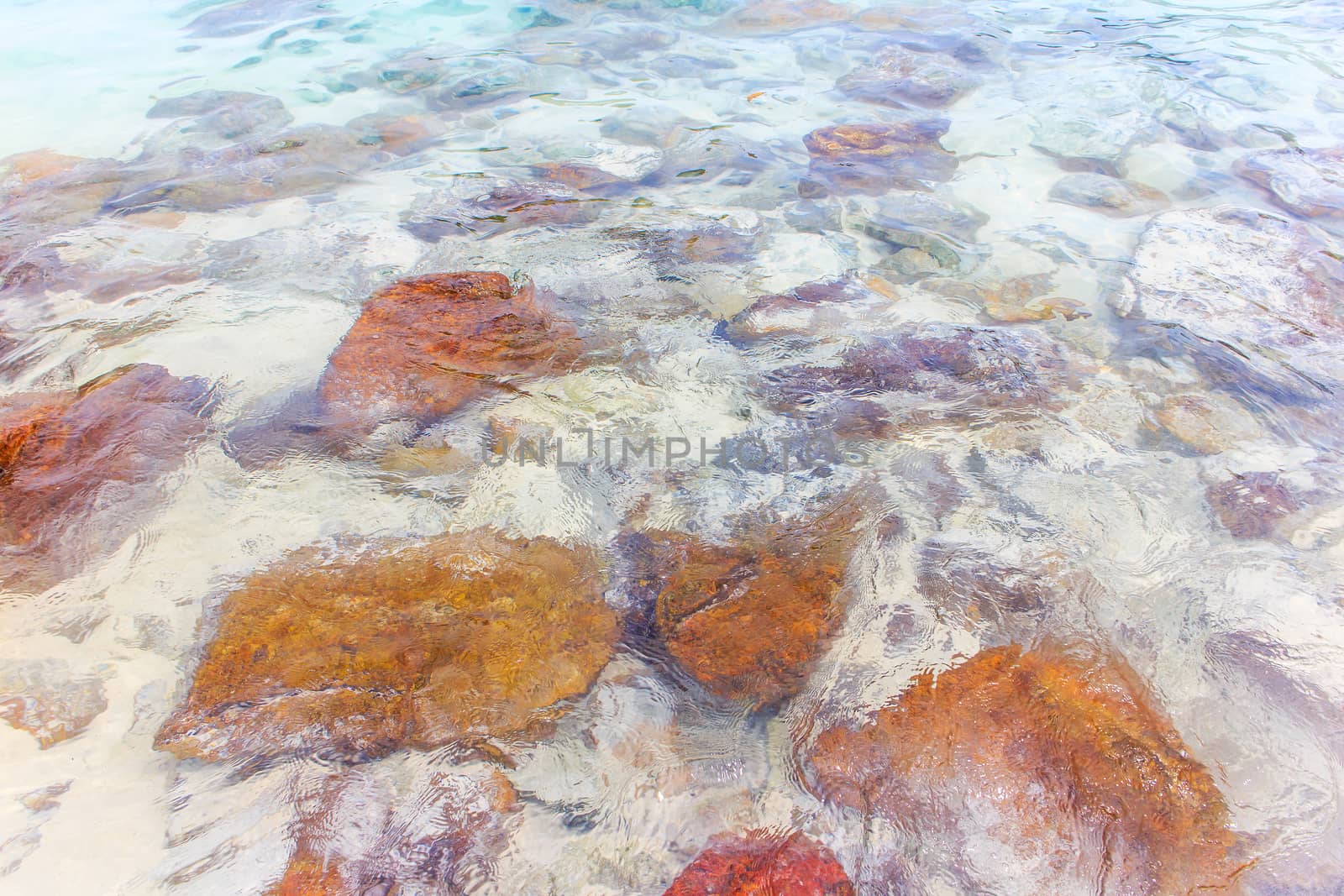 Rocky beach and surf with the sea.