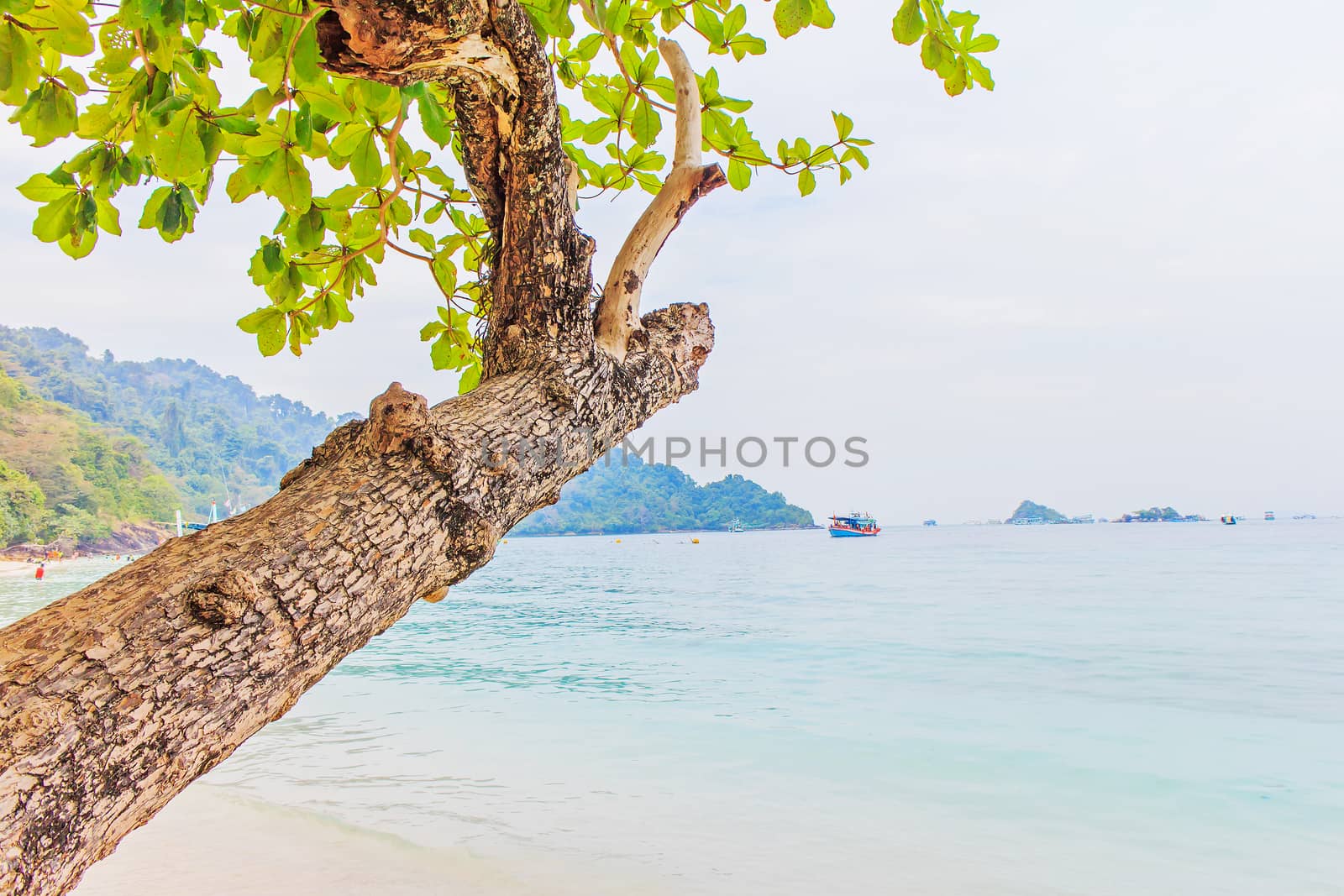 The scenic sea view from the beach.