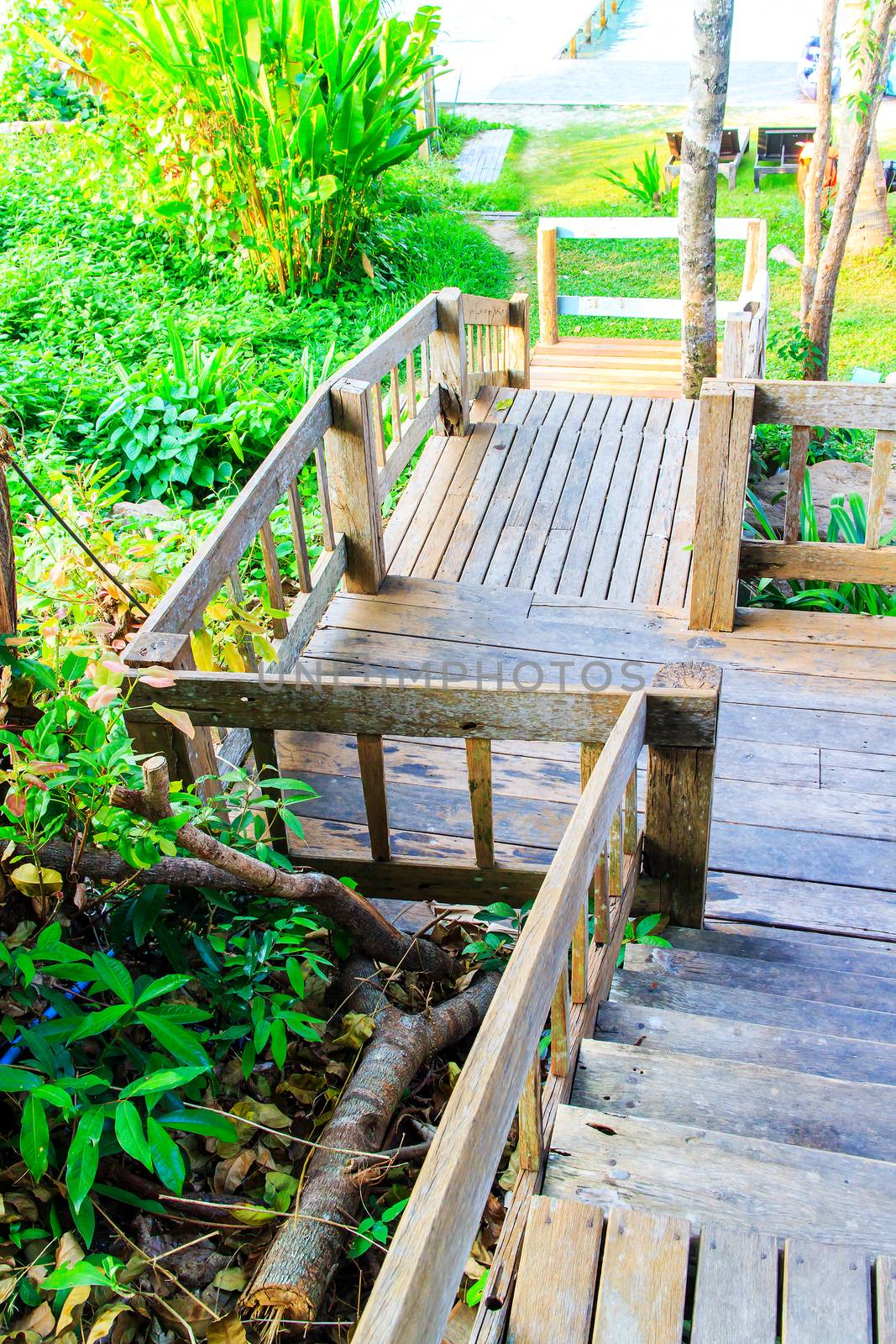 Old wooden stairs is way down at the home garden.