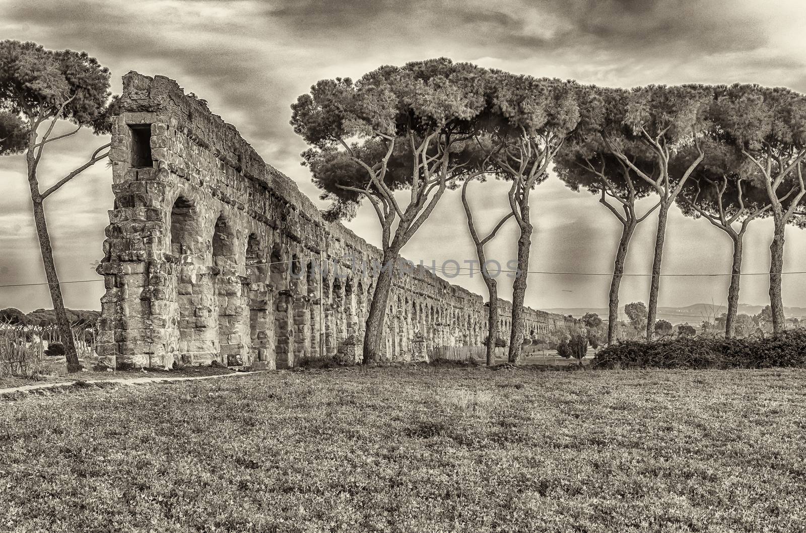 Park of the Aqueducts, Rome by marcorubino