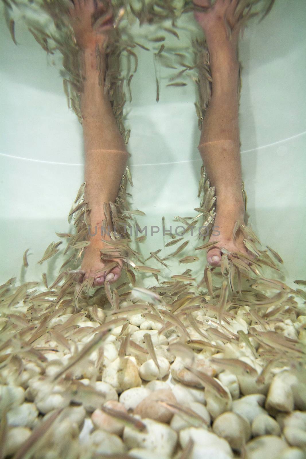 fishspa by think4photop