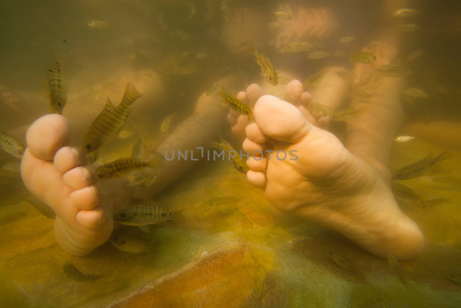Fish spa feet pedicure skin care treatment