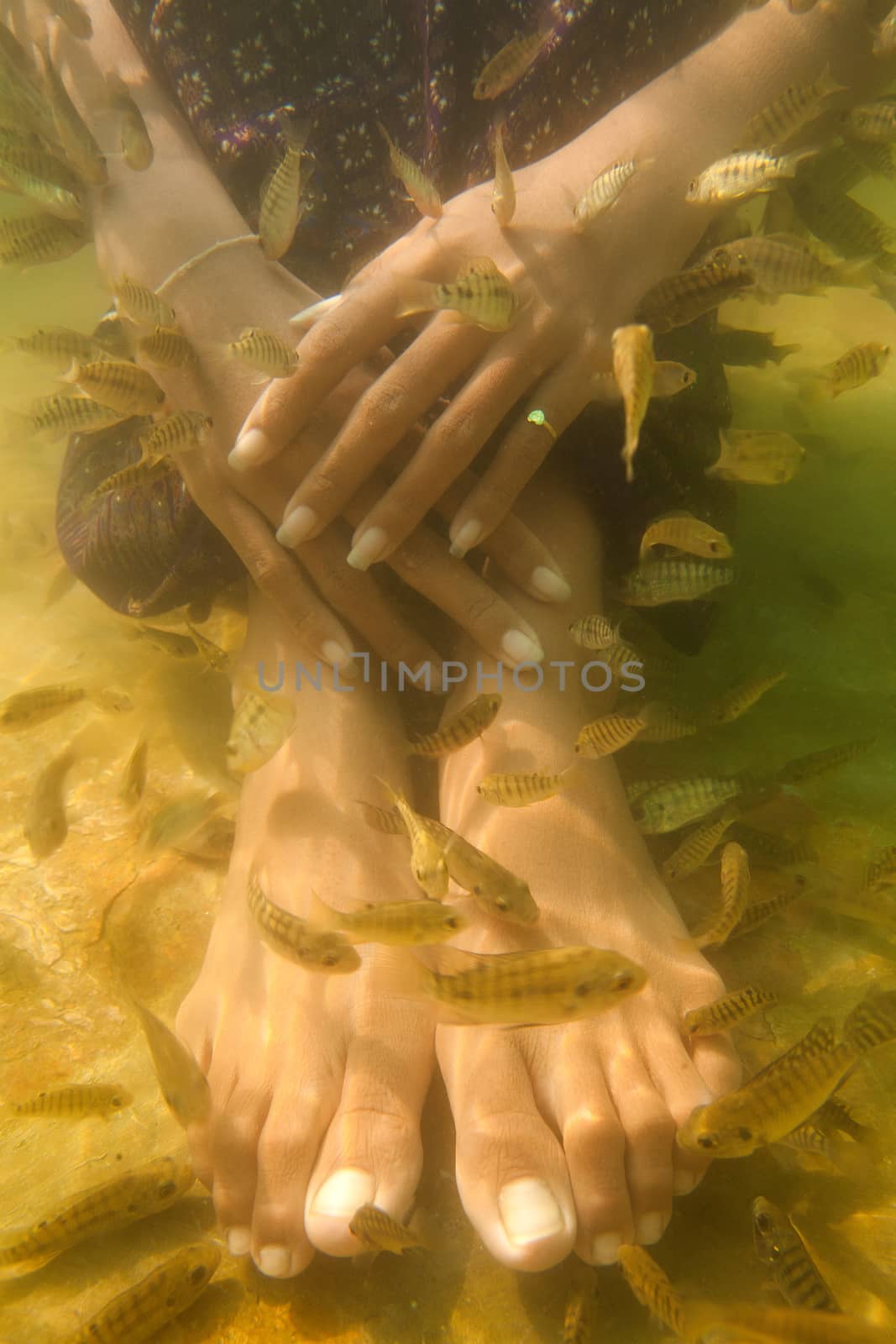 Fish spa feet pedicure skin care treatment by think4photop