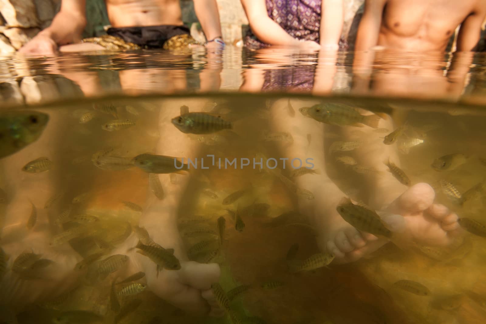 Fish spa feet pedicure skin care treatment by think4photop