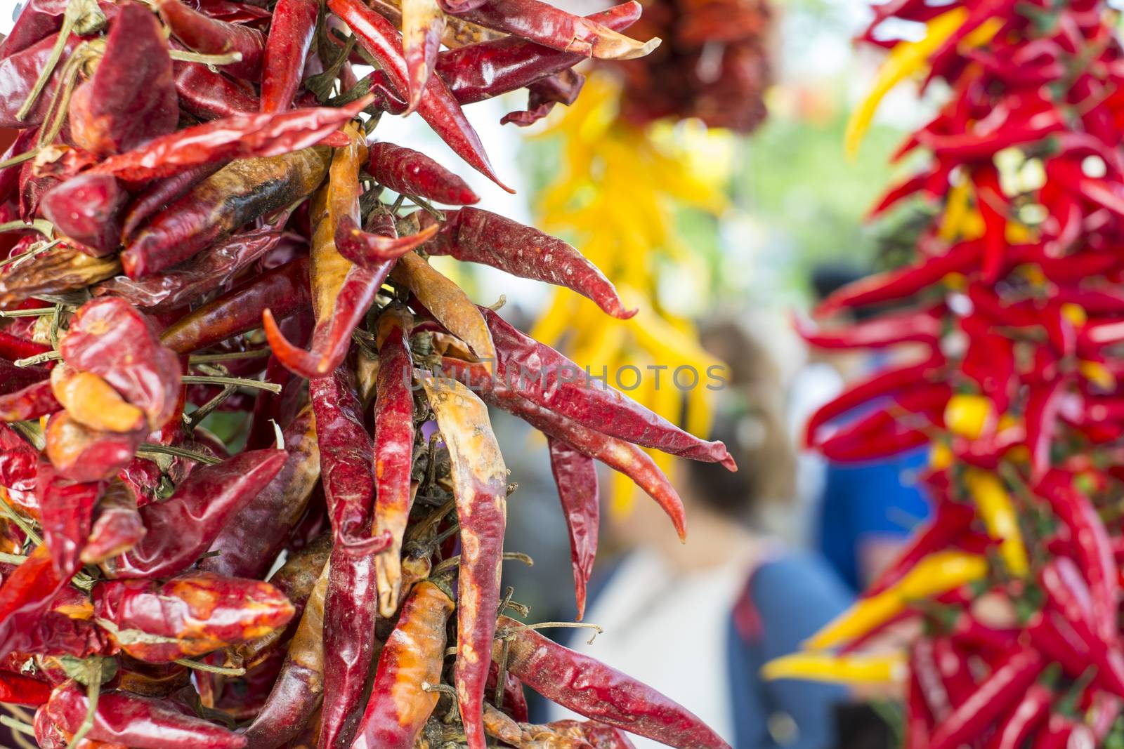 Detail of dried red chilly bunch