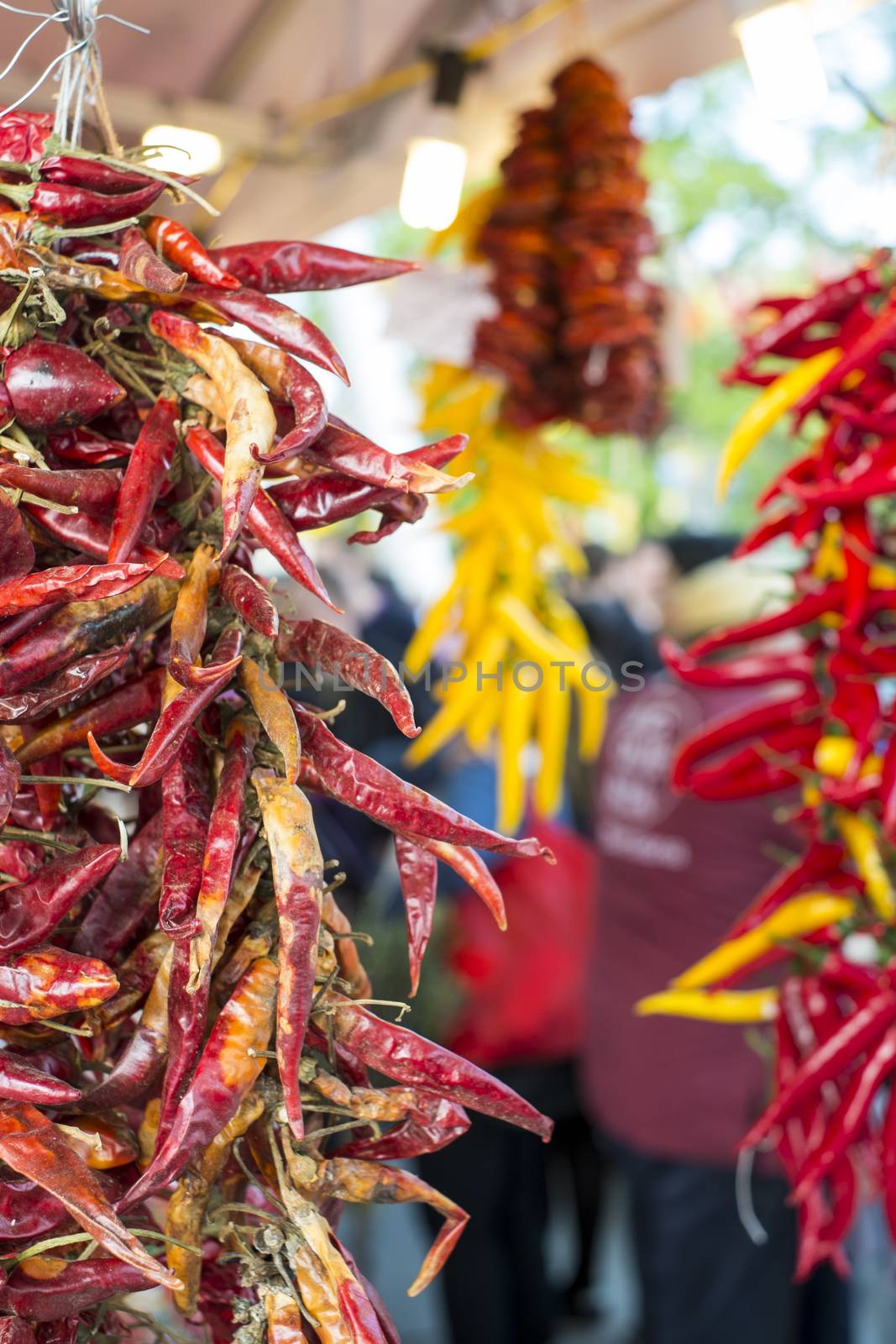 Detail of dried red chilly bunch