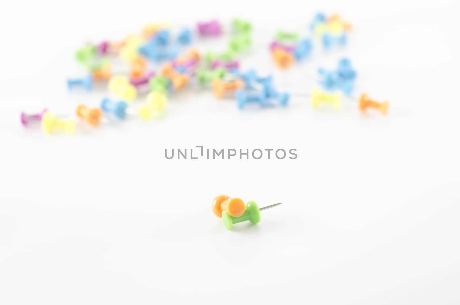 thumptack on a white background