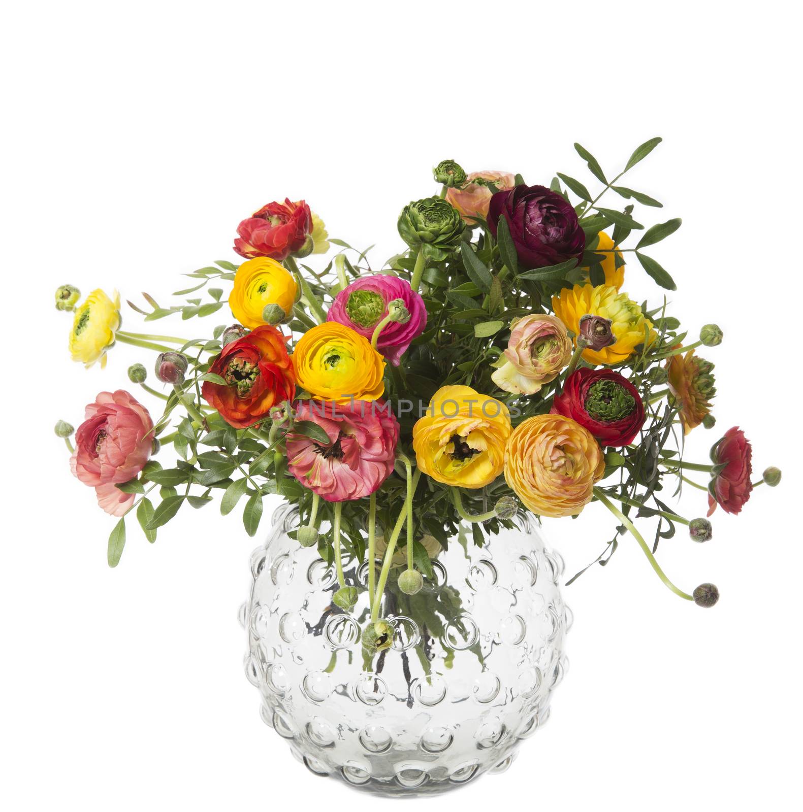 Bouquet of flowers in a glass jar isolated on white