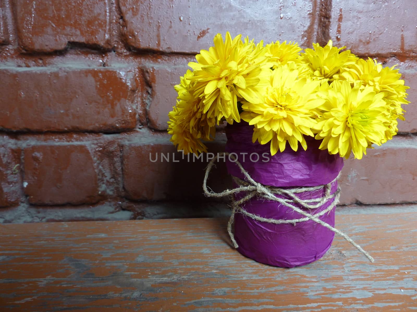 Yellow flower in a pot