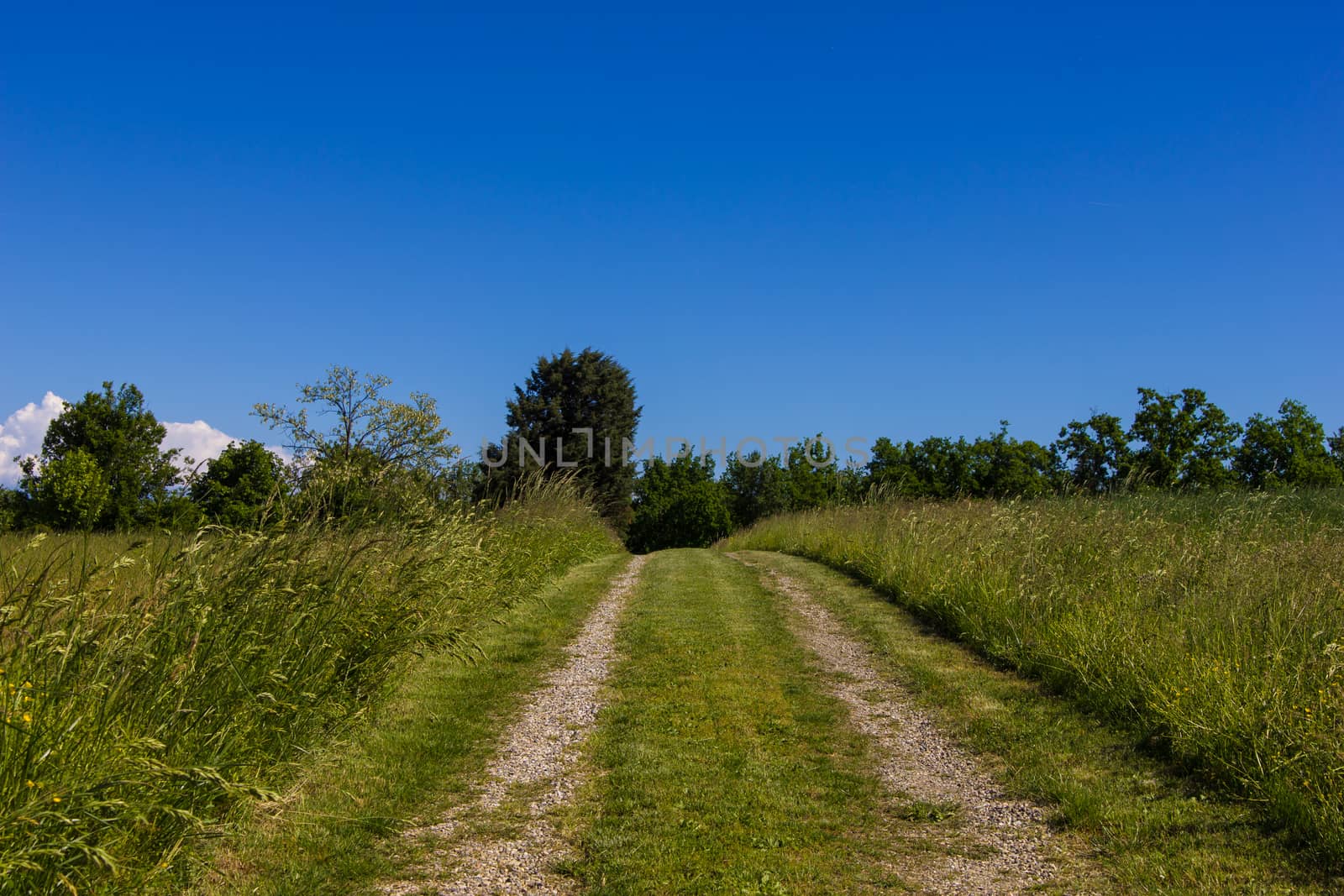 Beautiful road on countryside under the blue sky