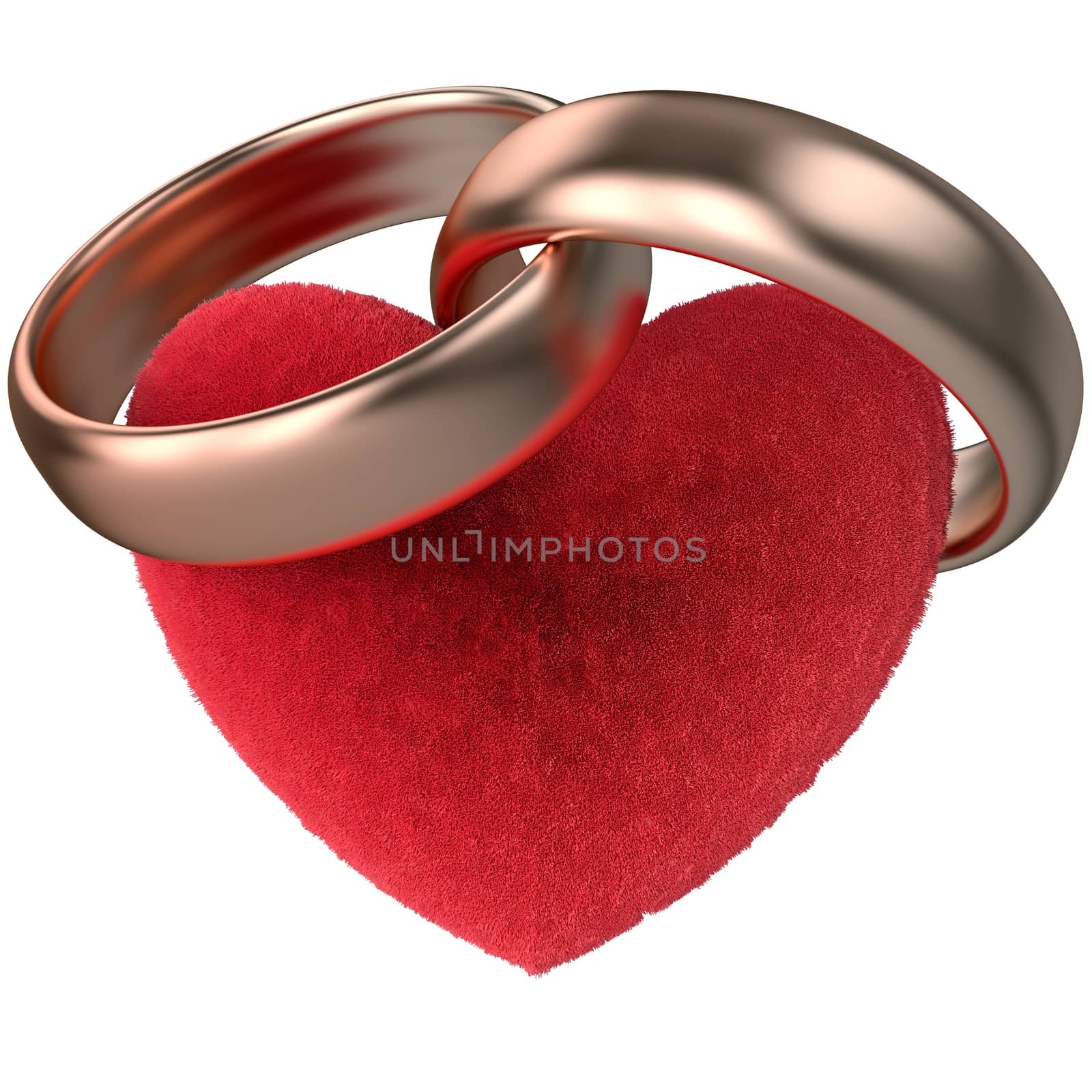 gold rings and red fur heart. love concept