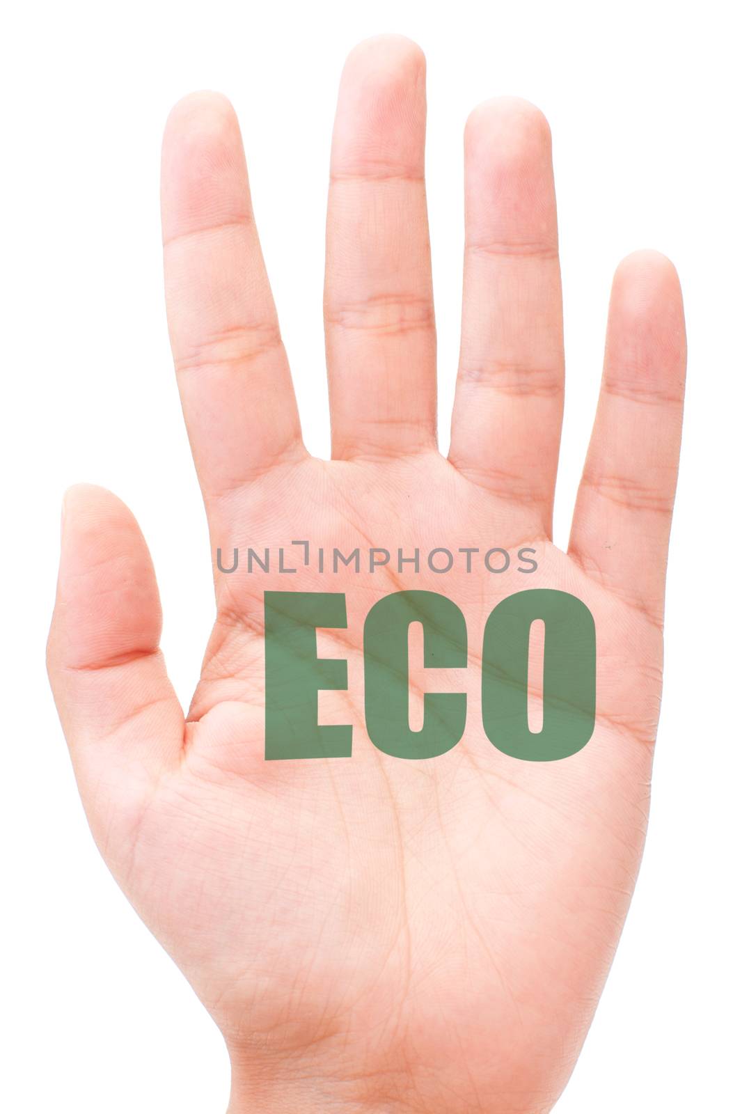 Eco by unikpix