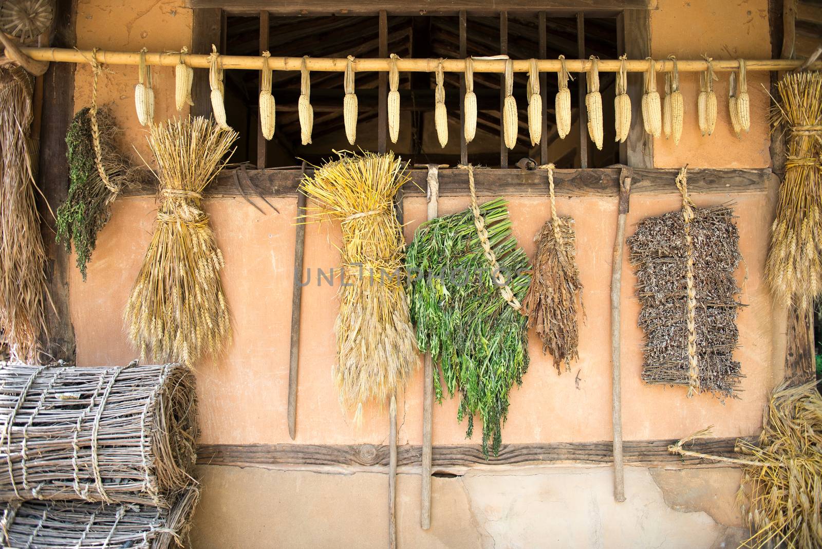 Wall of an  old house with drying corn and vegetables